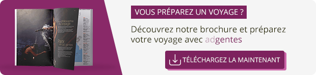 Cliquer ici pour recevoir notre guide