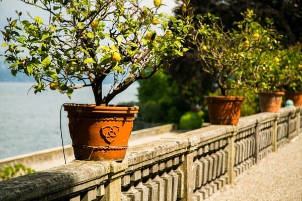 isola bella logo borromeo isola bella logo borromeo
