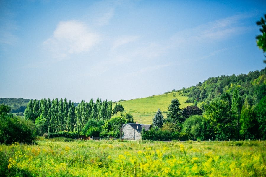 champs paysage