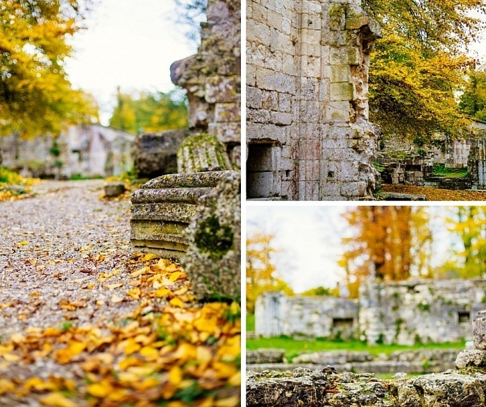 Les ruines de l'Abbaye de Jumièges