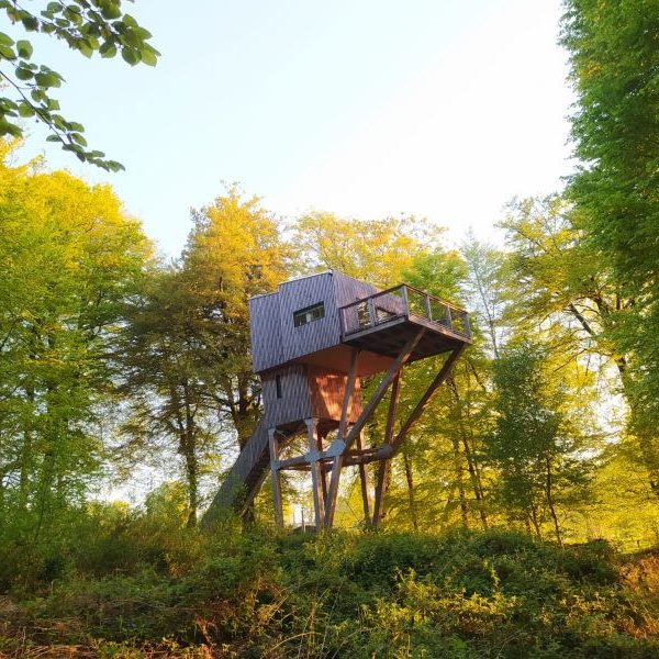cabane dans les arbres étape en forêt