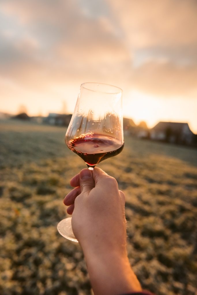 verre de vin week-end oenologie bordeaux
