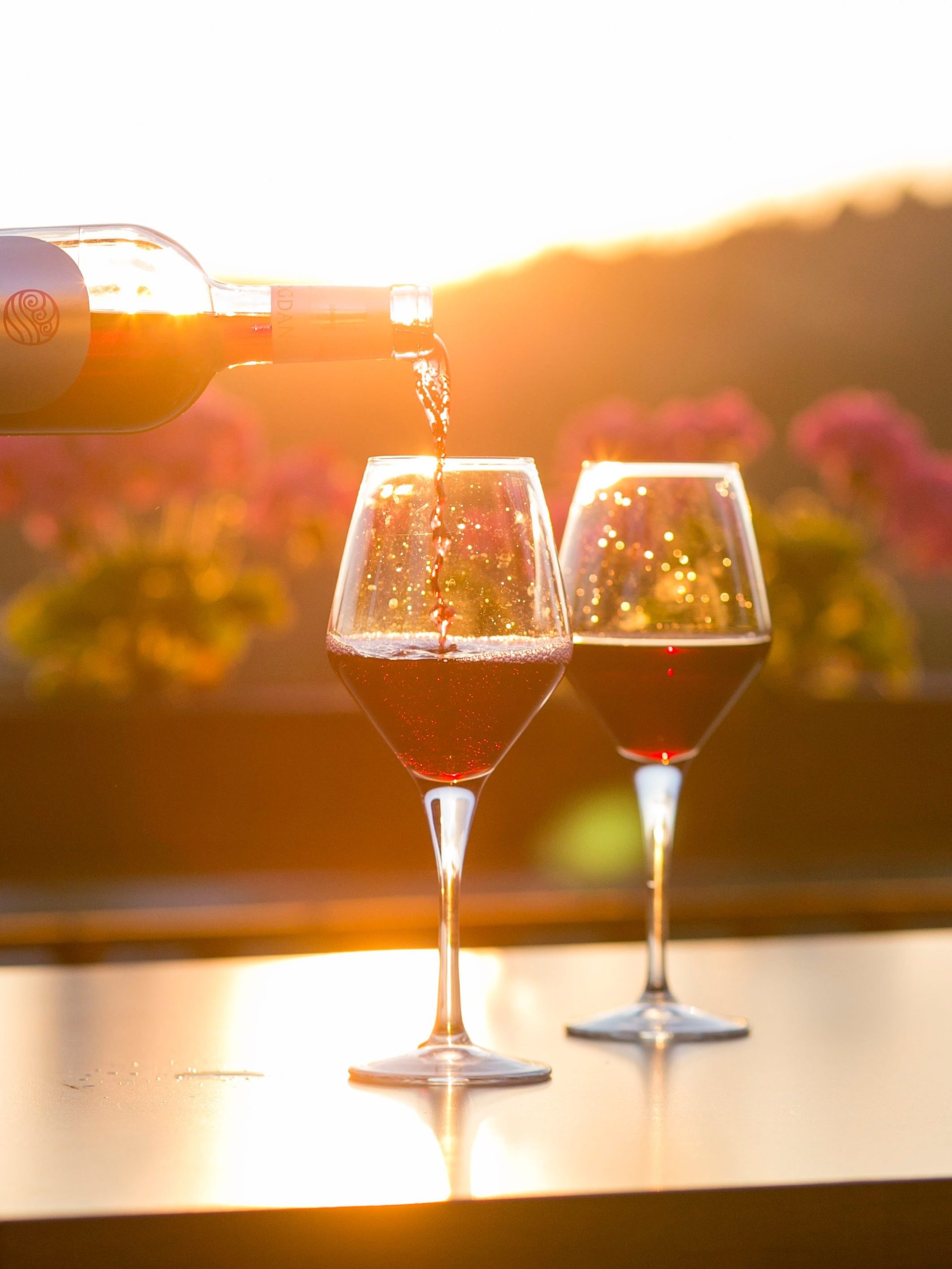 degustation de vin week-end dans le vignoble bordelais