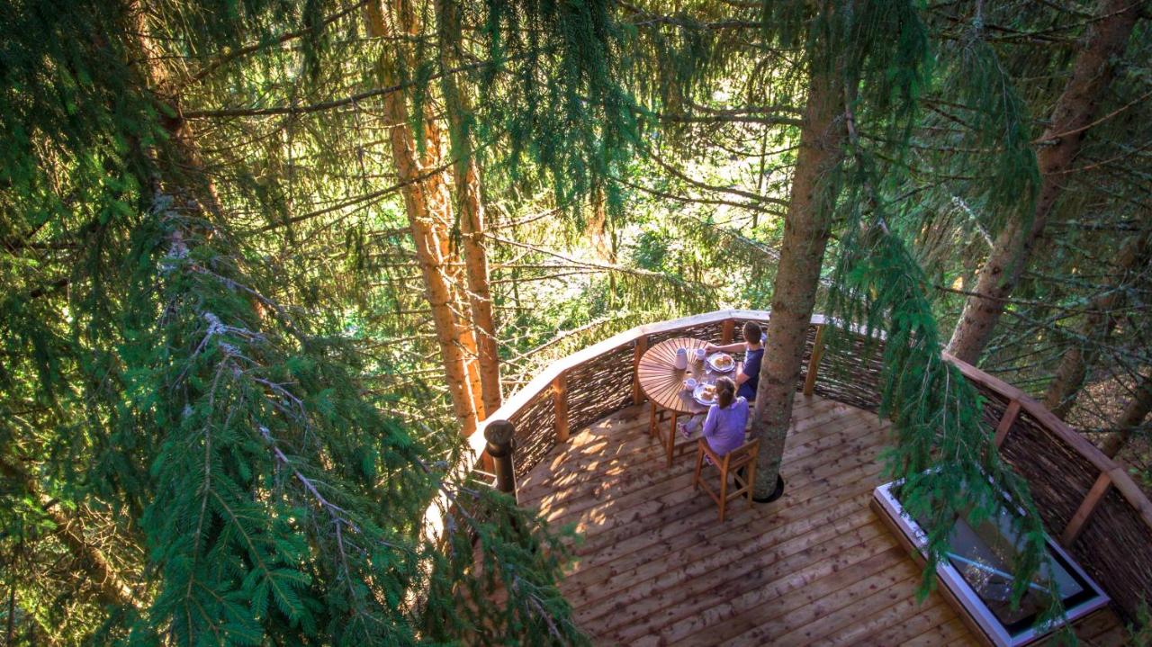 week-end insolite france cabane dans les arbres