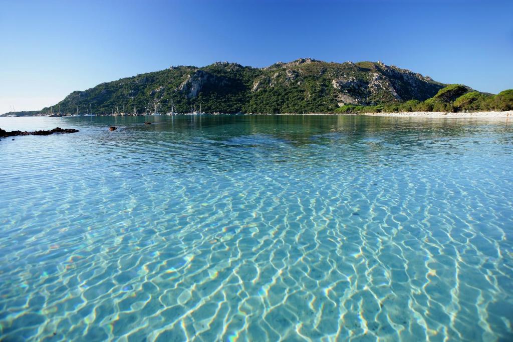 palombaggia porto vecchio